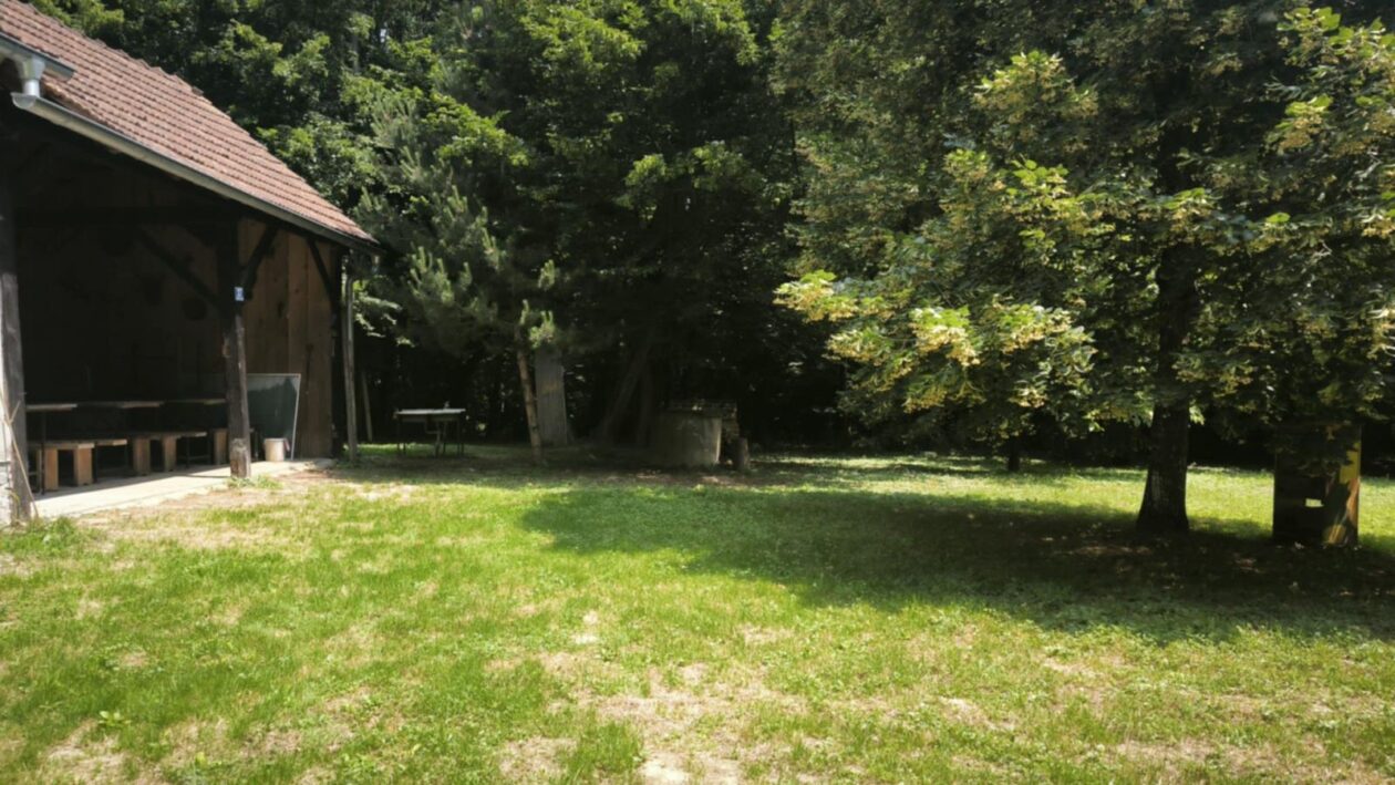 Art kamp nedelišće (6)