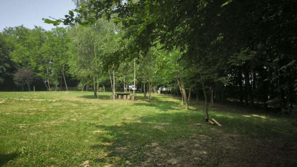 Art kamp nedelišće (7)