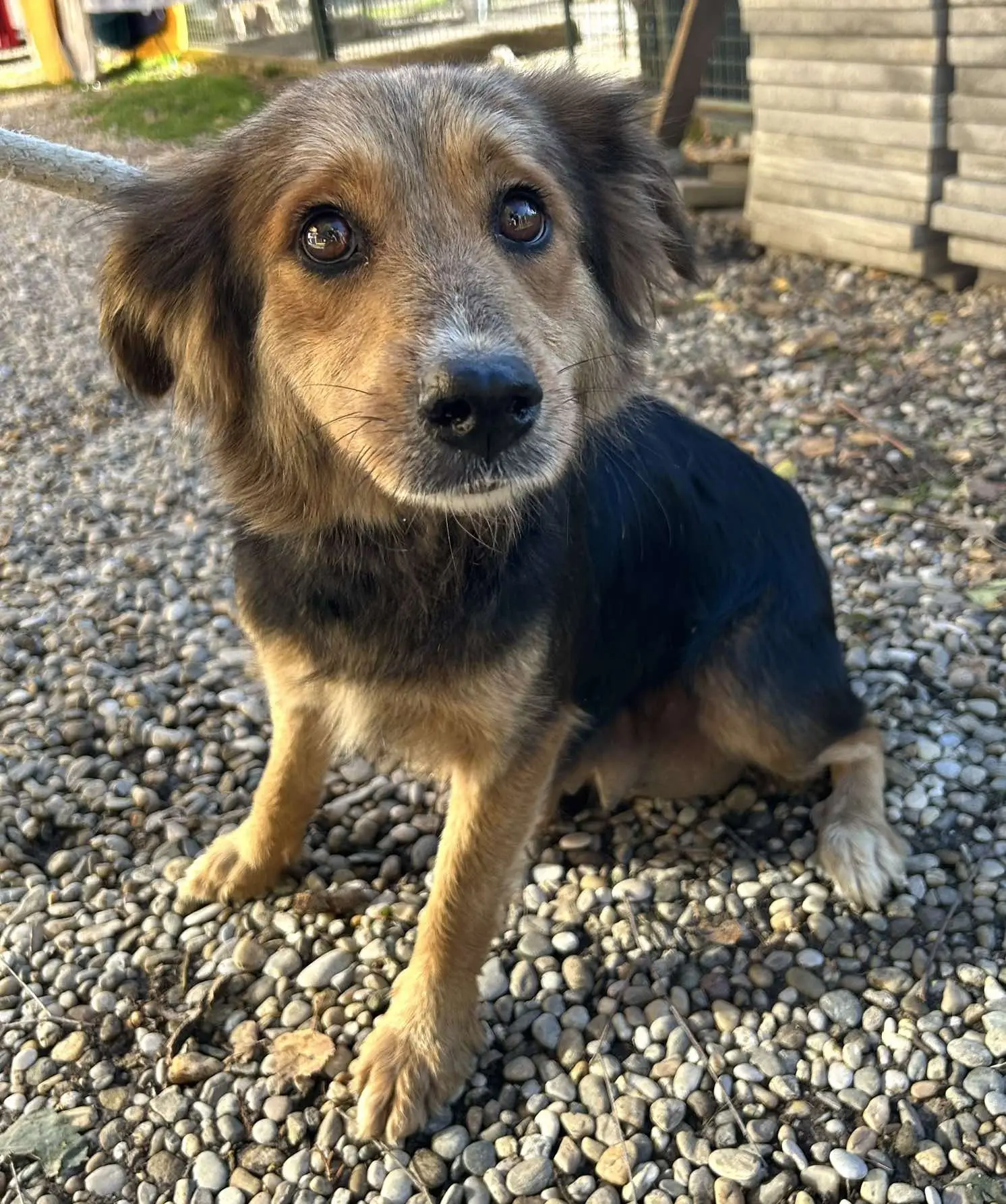 Azil Čakovec (2) Azil Čakovec (2)