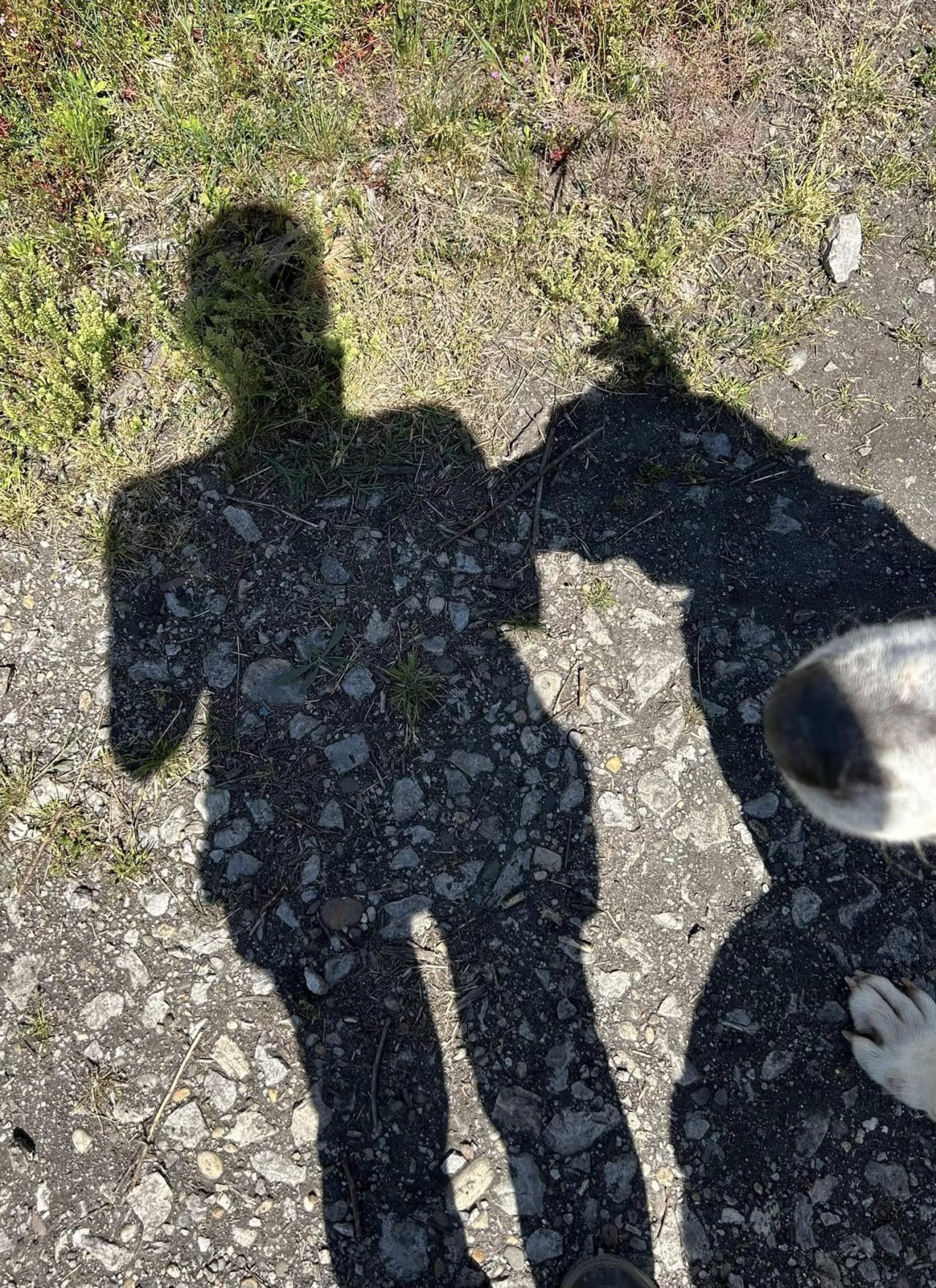 Azil Prijatelji Čakovec (10)