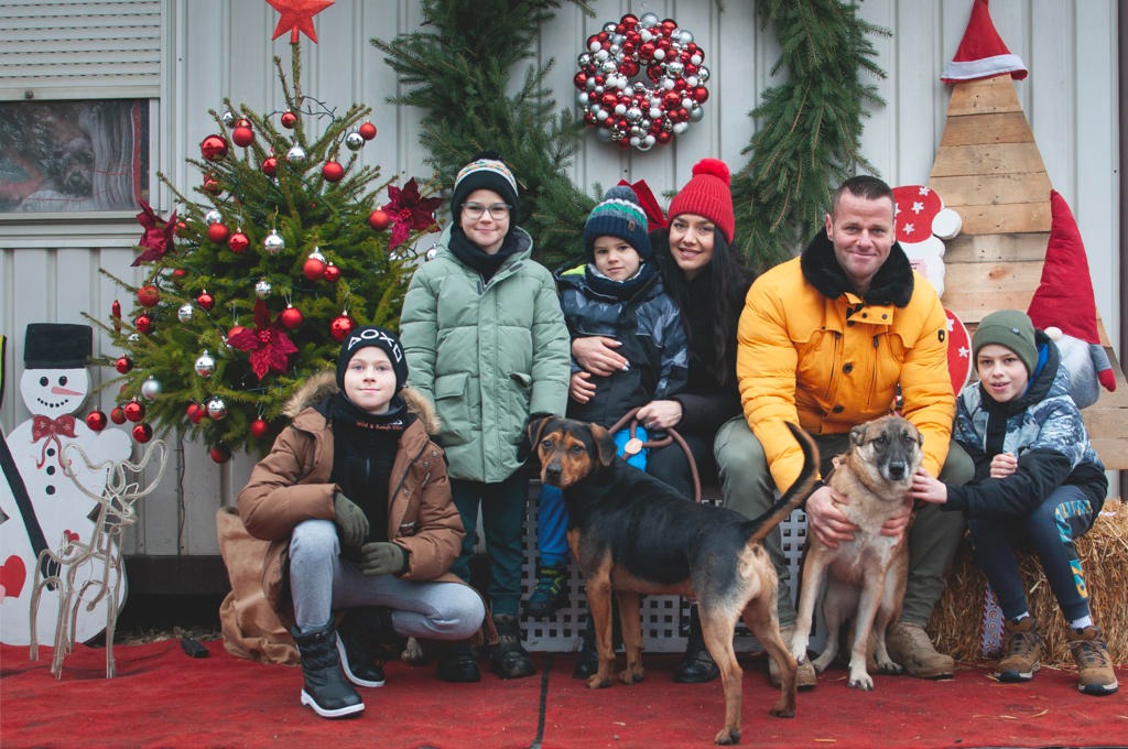 Azil Prijatelji Čakovec (10) Azil Prijatelji Čakovec (10)