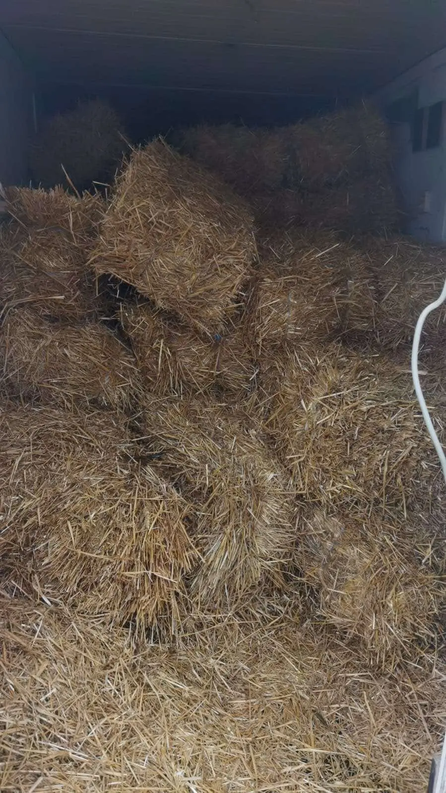 Azil Prijatelji Čakovec (10)