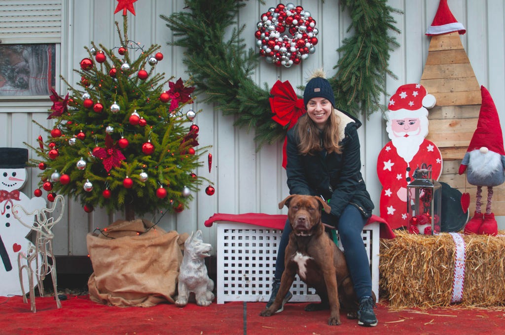 Azil Prijatelji Čakovec (11) Azil Prijatelji Čakovec (11)