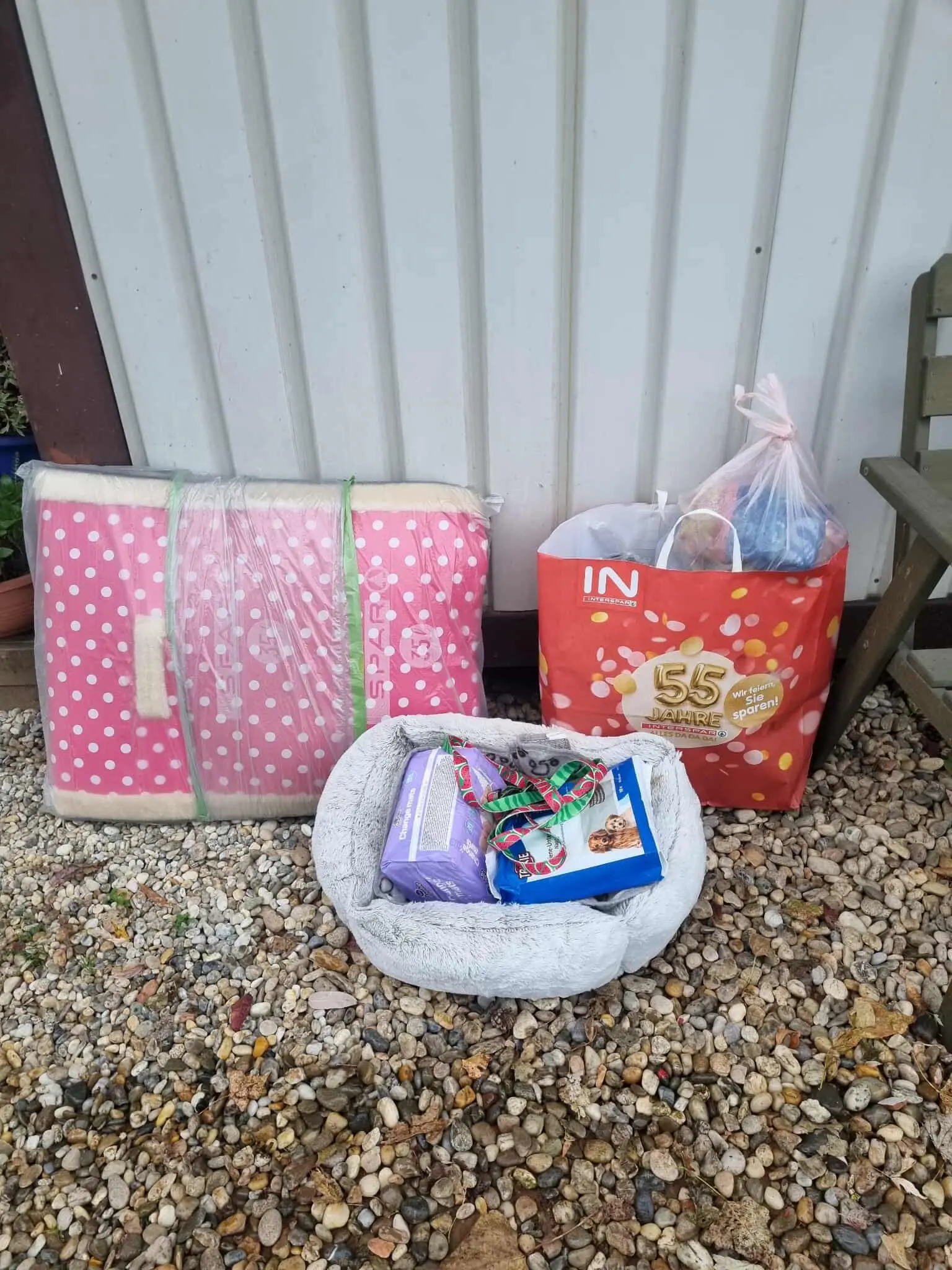 Azil Prijatelji Čakovec (11)