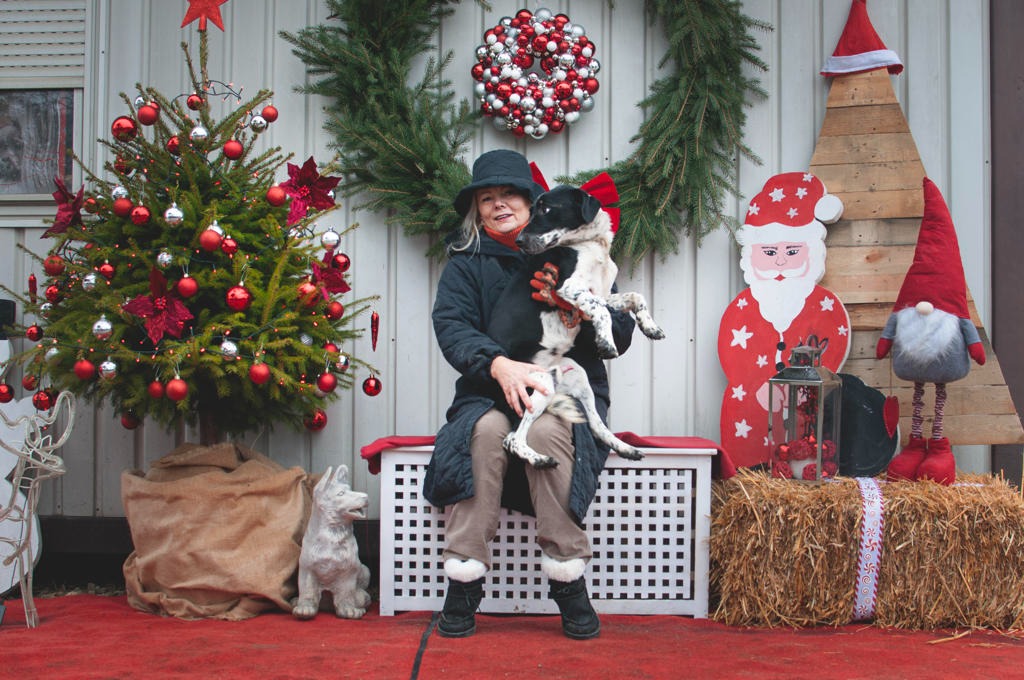 Azil Prijatelji Čakovec (12) Azil Prijatelji Čakovec (12)