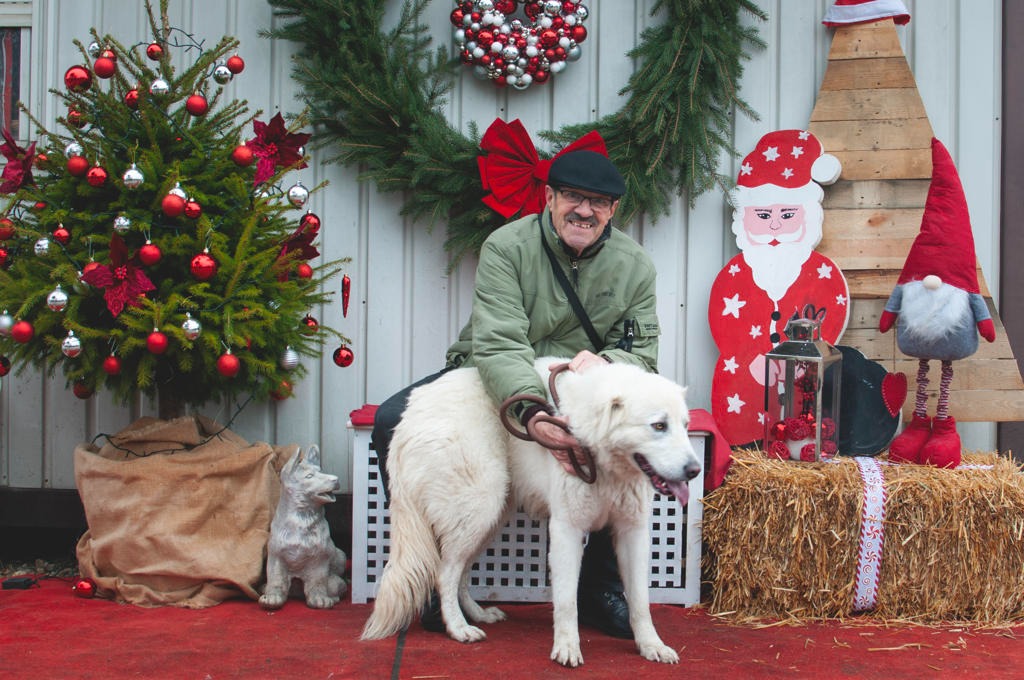Azil Prijatelji Čakovec (14) Azil Prijatelji Čakovec (14)