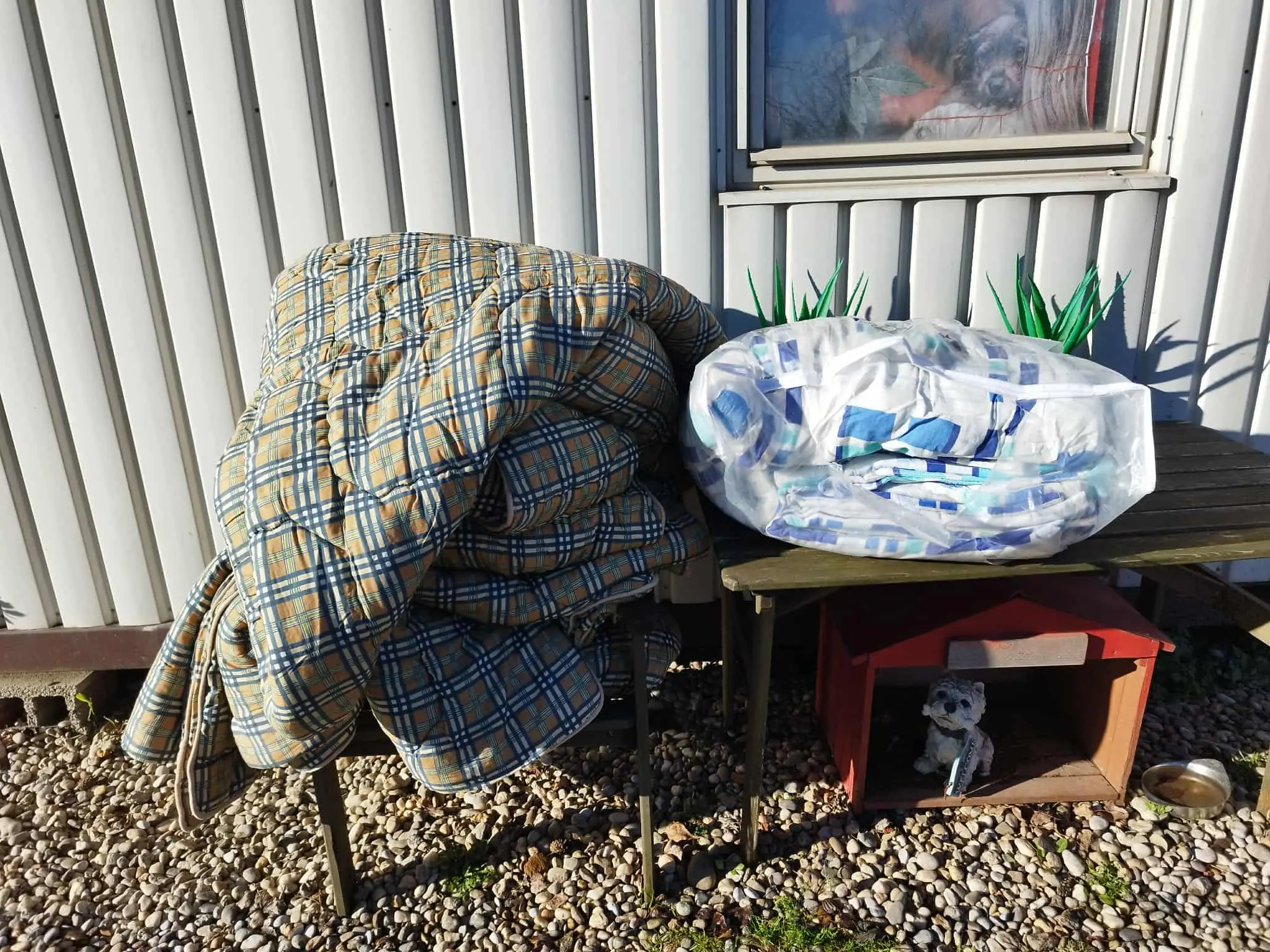 Azil Prijatelji Čakovec (14)