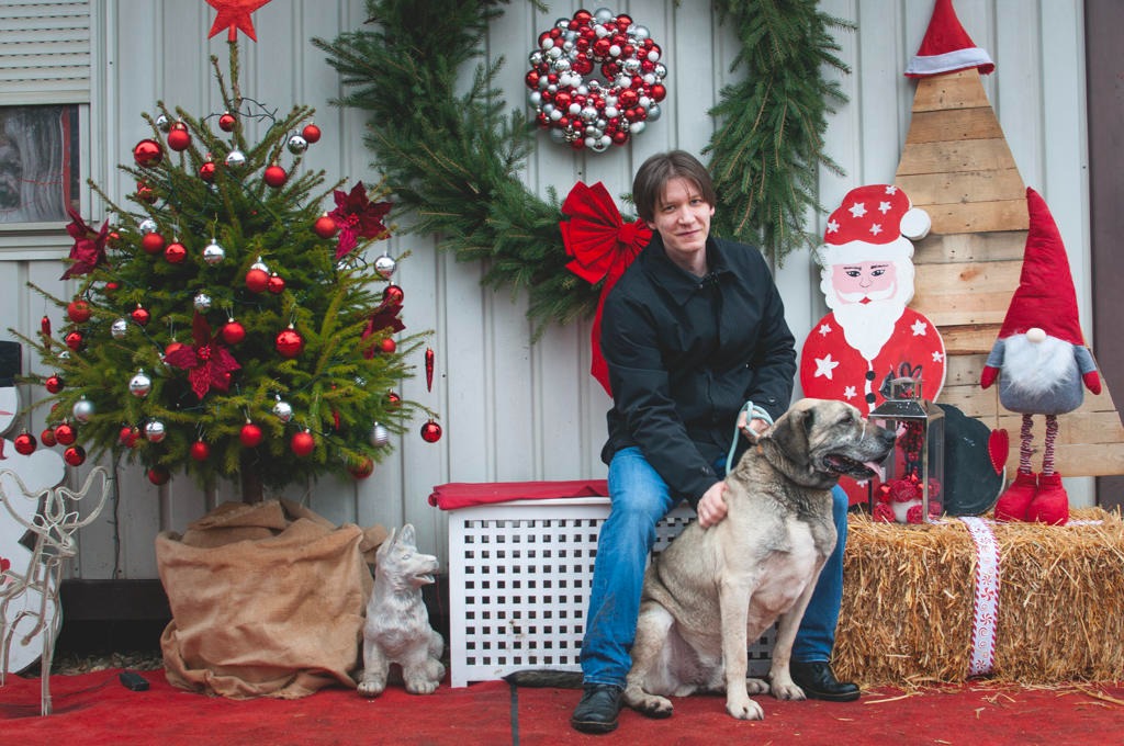 Azil Prijatelji Čakovec (15) Azil Prijatelji Čakovec (15)