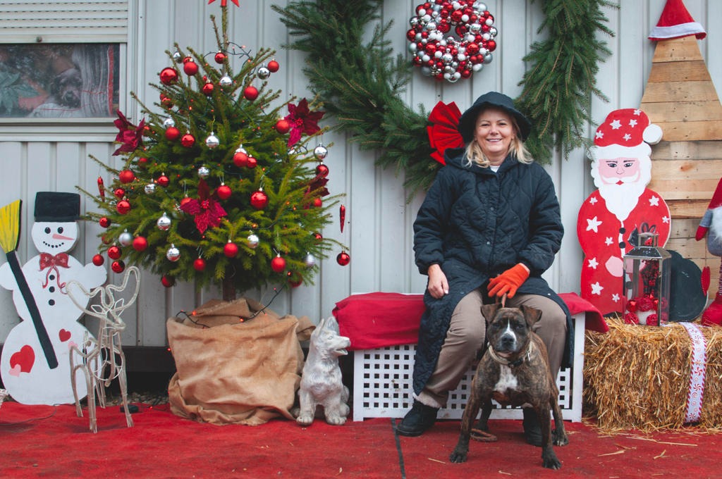 Azil Prijatelji Čakovec (17) Azil Prijatelji Čakovec (17)