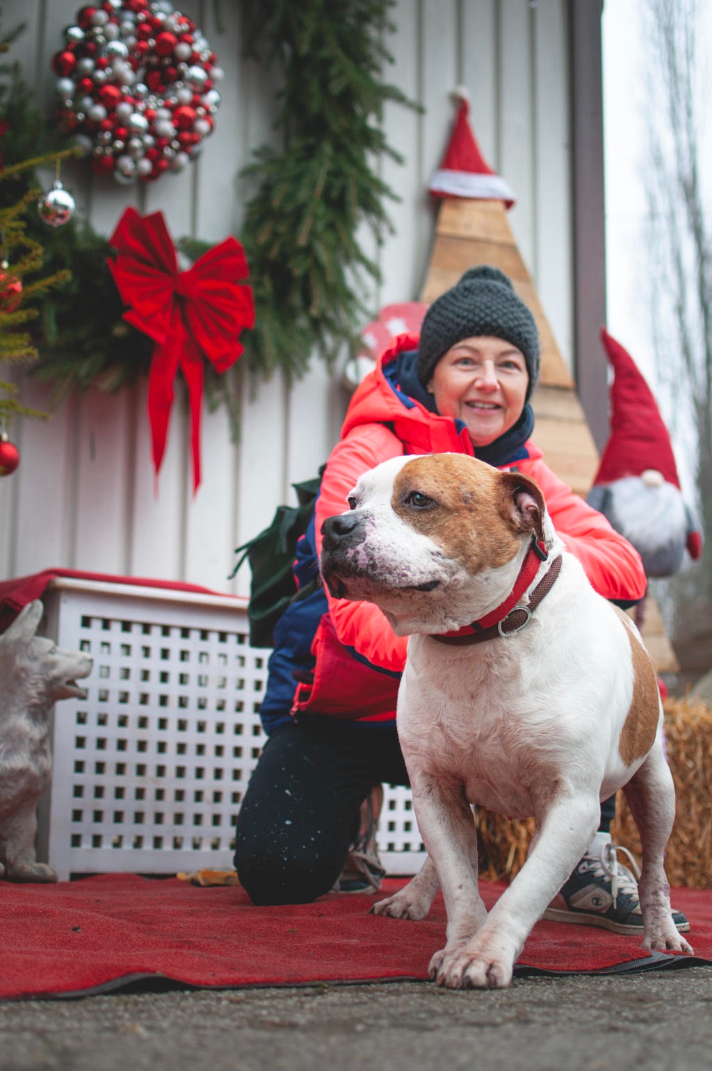 Azil Prijatelji Čakovec (18) Azil Prijatelji Čakovec (18)