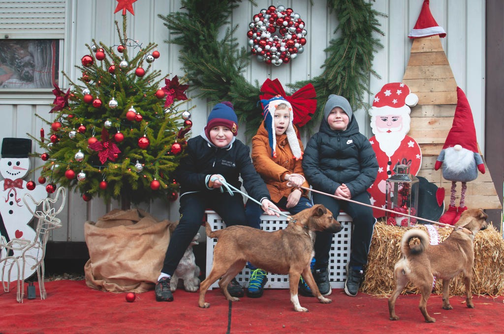 Azil Prijatelji Čakovec (19) Azil Prijatelji Čakovec (19)