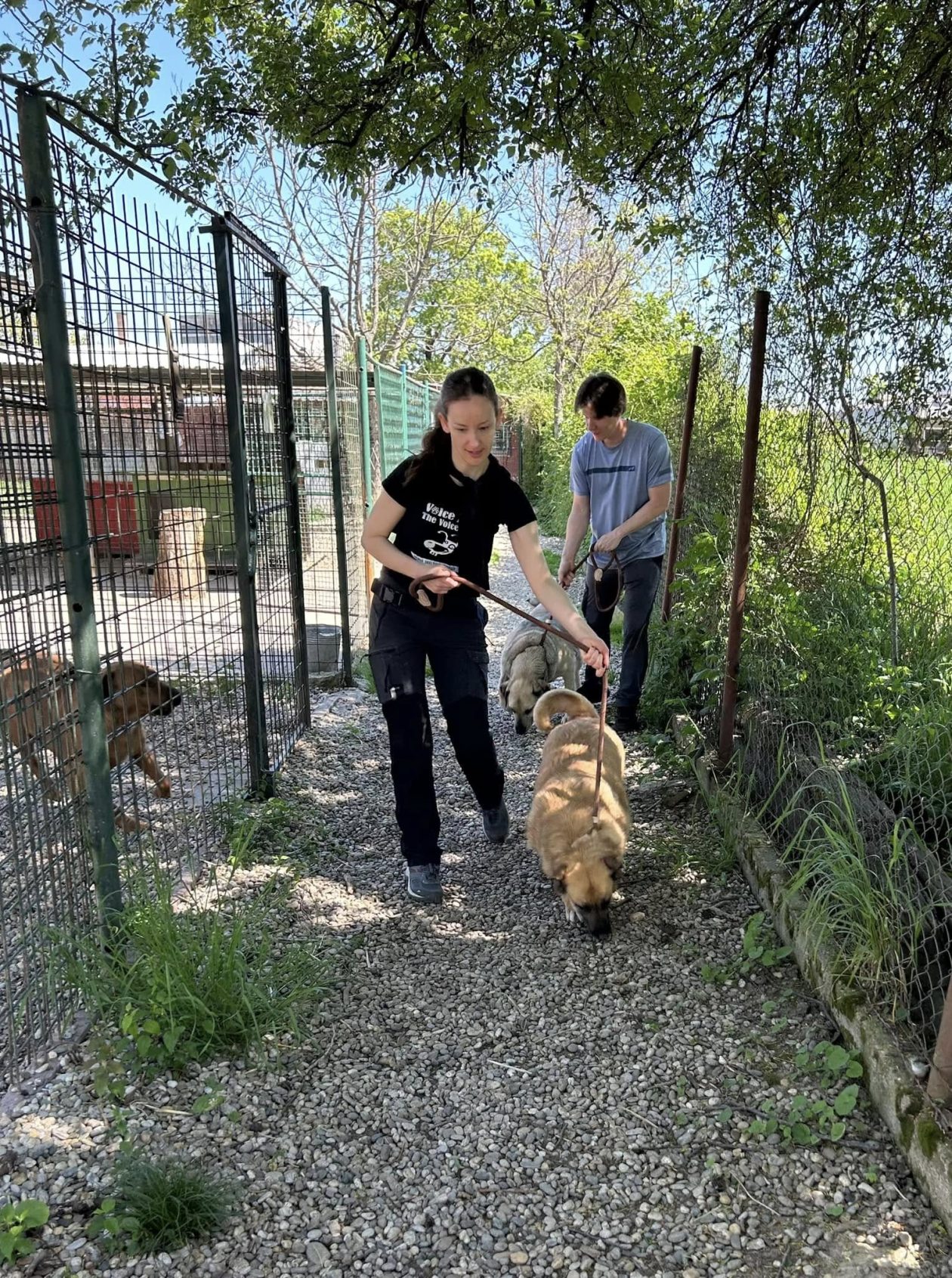 Azil Prijatelji Čakovec (2)