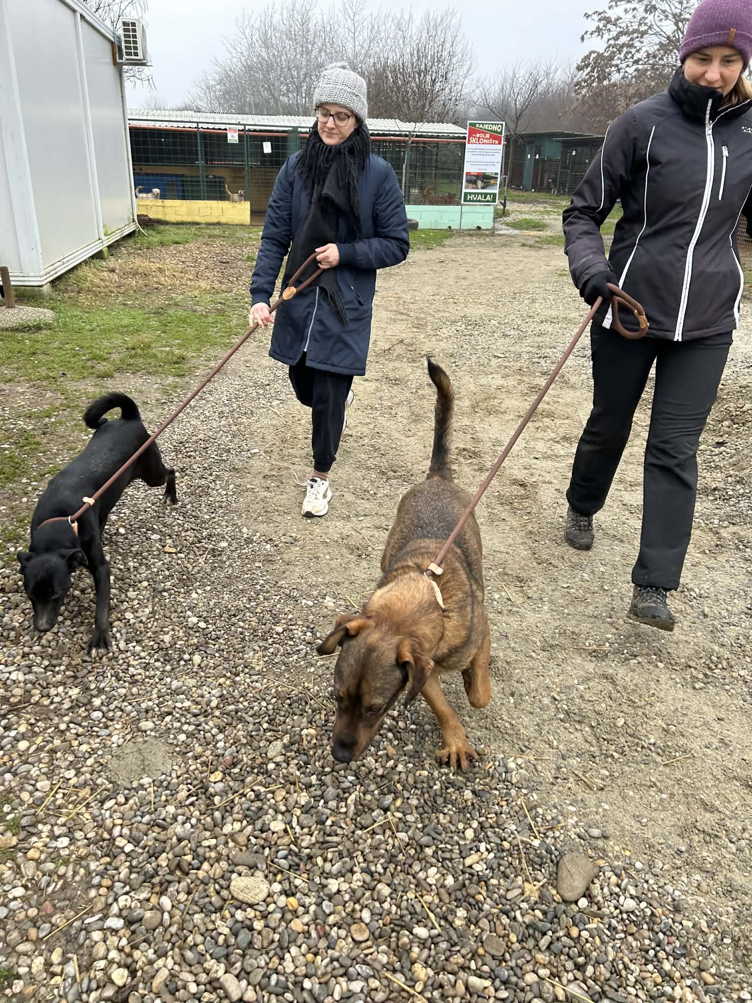 Azil Prijatelji Čakovec (2) Azil Prijatelji Čakovec (2)