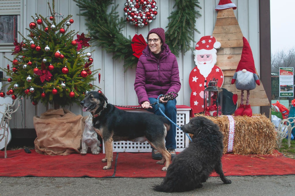 Azil Prijatelji Čakovec (21) Azil Prijatelji Čakovec (21)