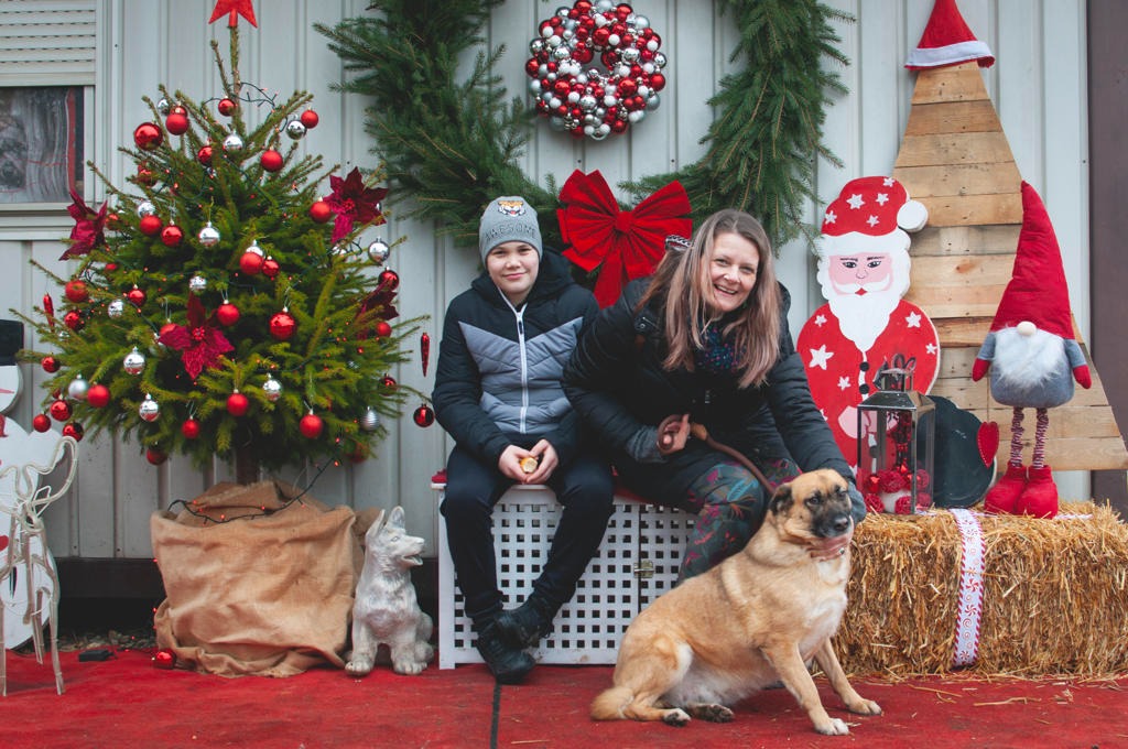 Azil Prijatelji Čakovec (22) Azil Prijatelji Čakovec (22)