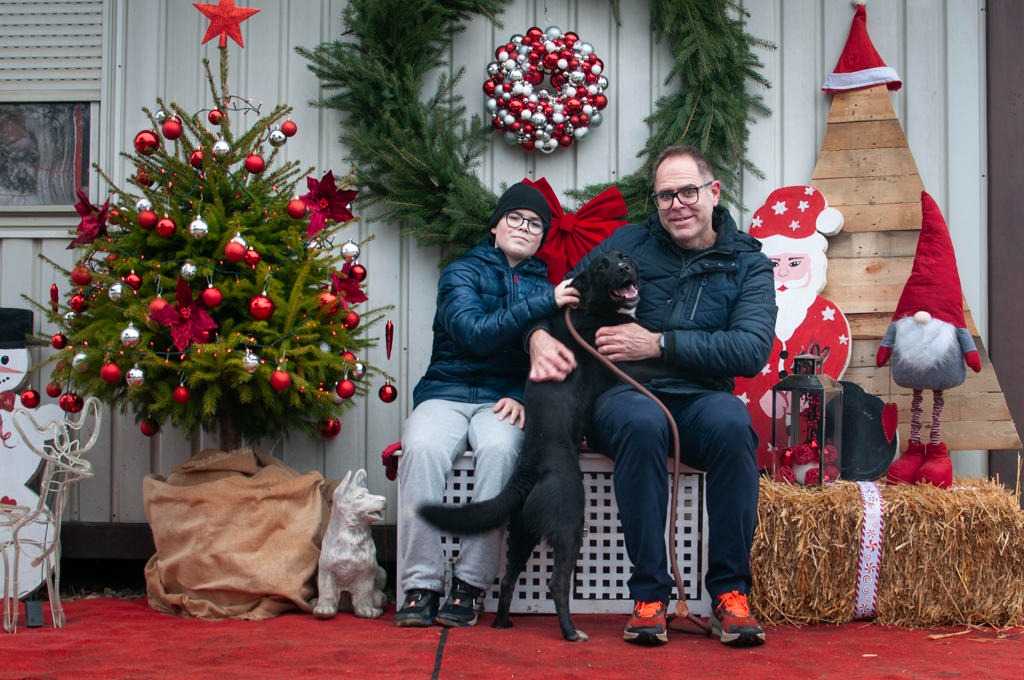 Azil Prijatelji Čakovec (23) Azil Prijatelji Čakovec (23)