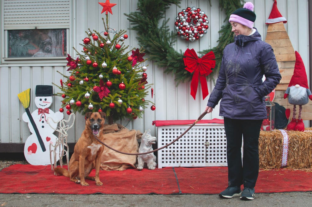Azil Prijatelji Čakovec (24) Azil Prijatelji Čakovec (24)