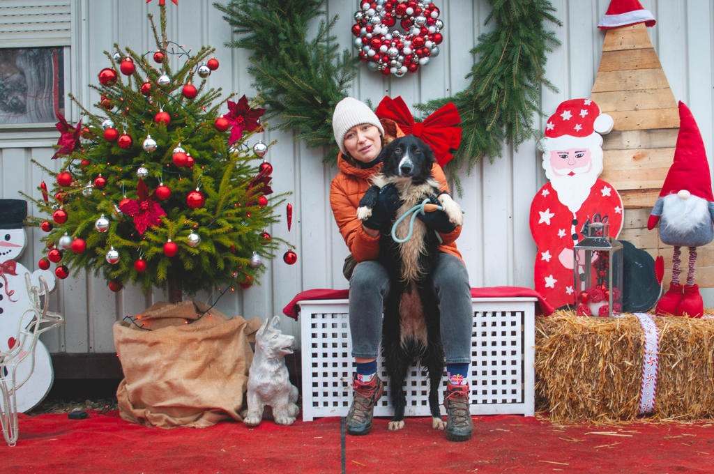 Azil Prijatelji Čakovec (26) Azil Prijatelji Čakovec (26)