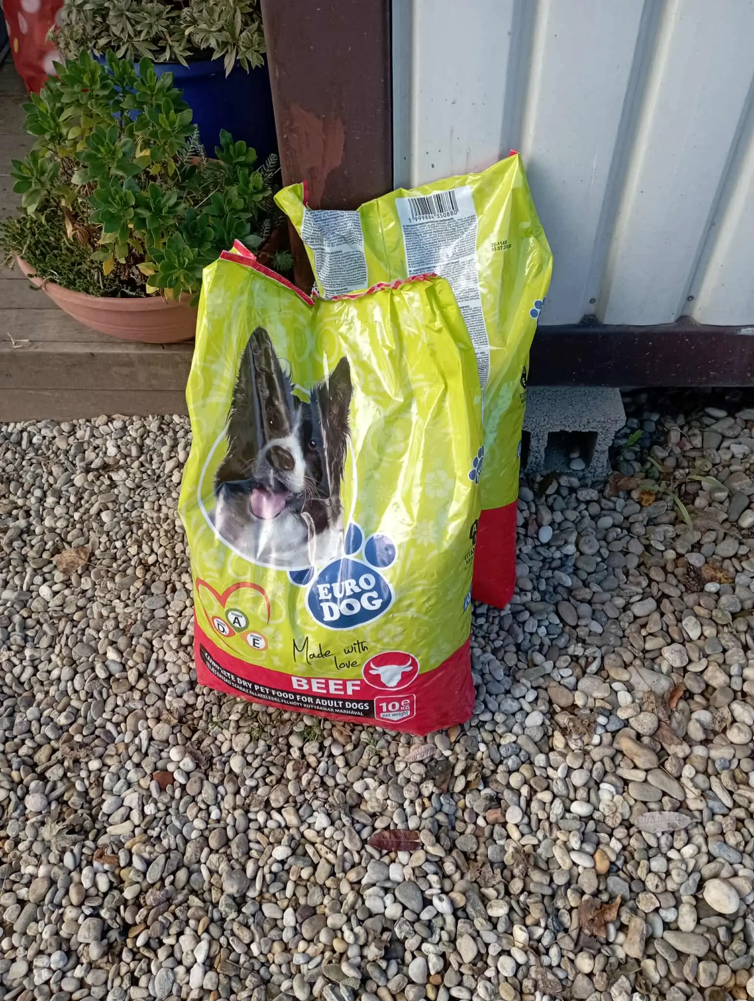 Azil Prijatelji Čakovec (27)