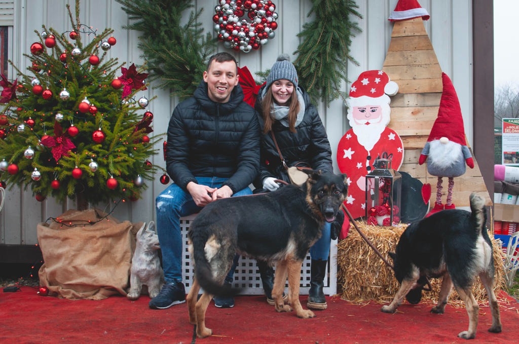 Azil Prijatelji Čakovec (28) Azil Prijatelji Čakovec (28)