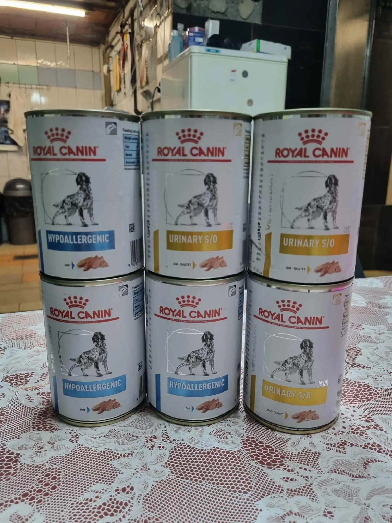 Azil Prijatelji Čakovec (28)