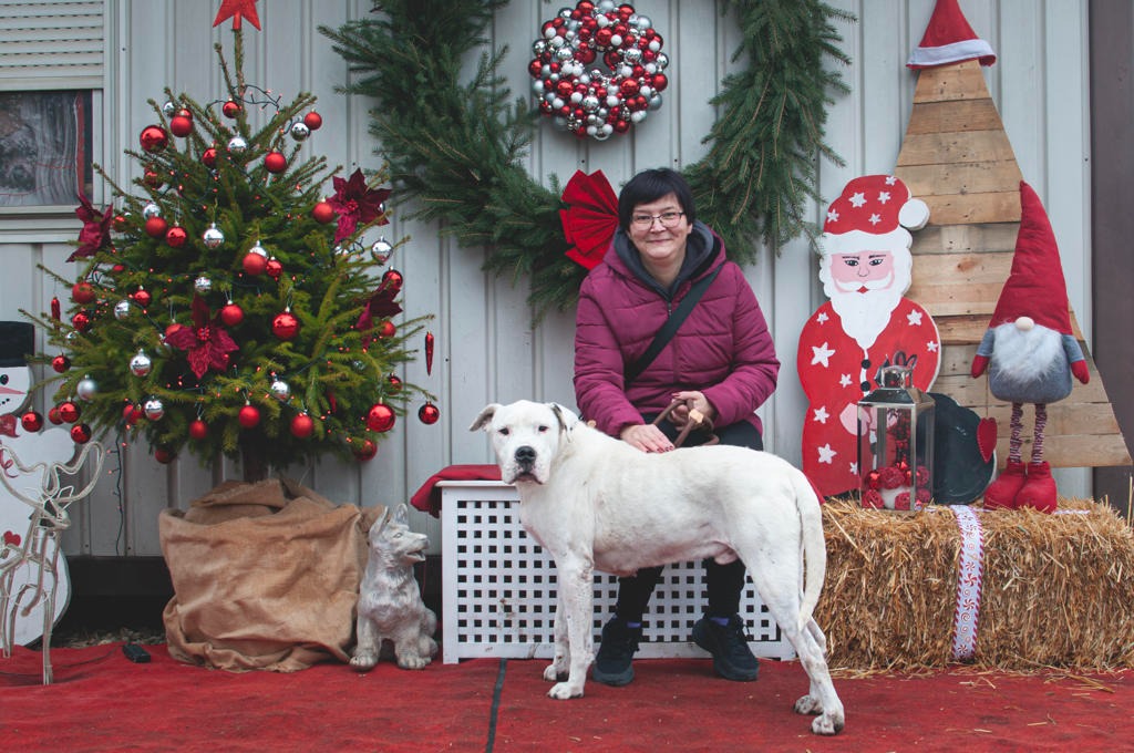 Azil Prijatelji Čakovec (29) Azil Prijatelji Čakovec (29)