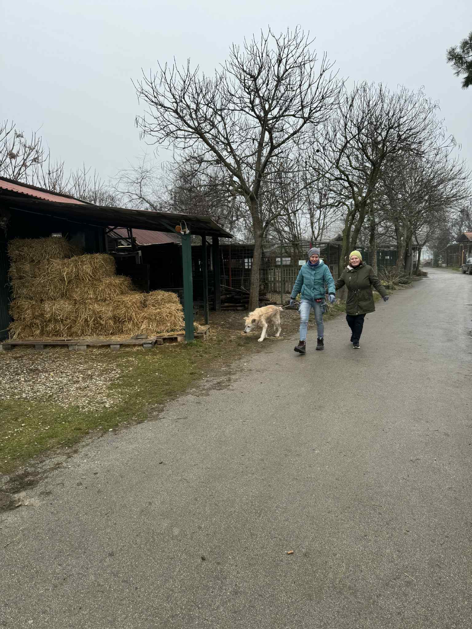 Azil Prijatelji Čakovec (3) Azil Prijatelji Čakovec (3)