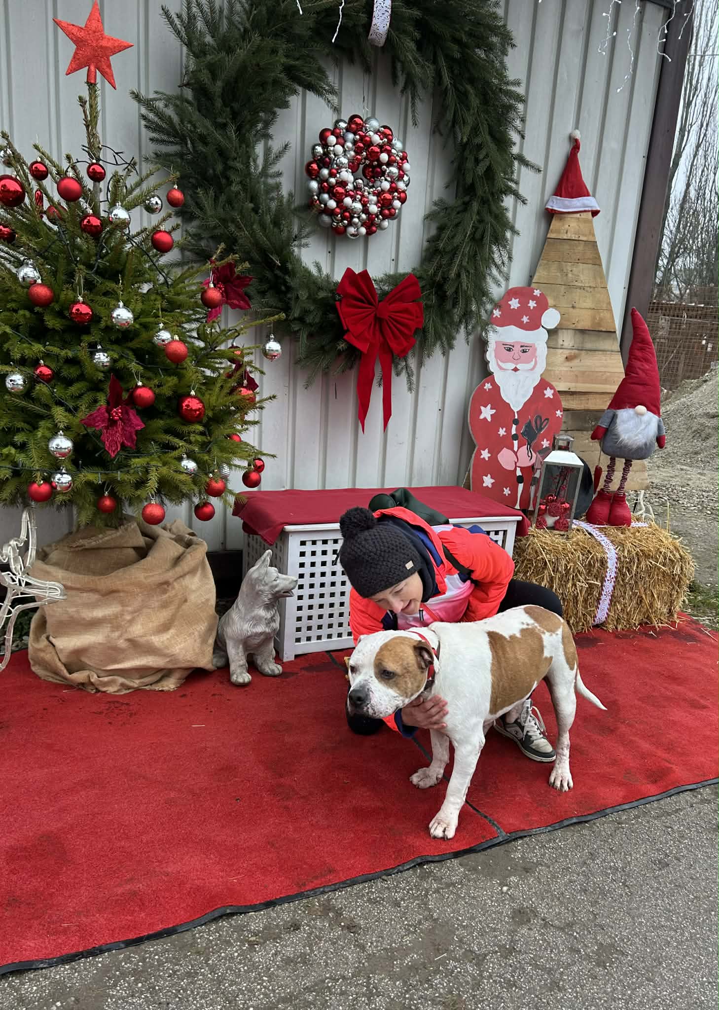 Azil Prijatelji Čakovec (30) Azil Prijatelji Čakovec (30)