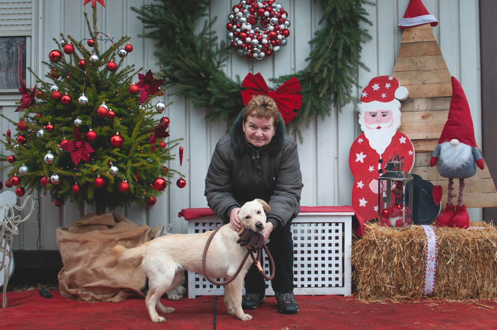 Azil Prijatelji Čakovec (31) Azil Prijatelji Čakovec (31)