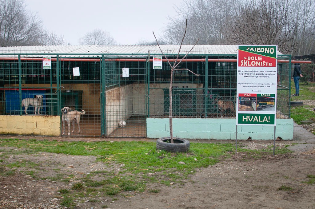 Azil Prijatelji Čakovec (33) Azil Prijatelji Čakovec (33)