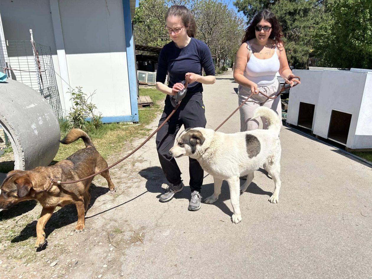 Azil Prijatelji Čakovec (4)