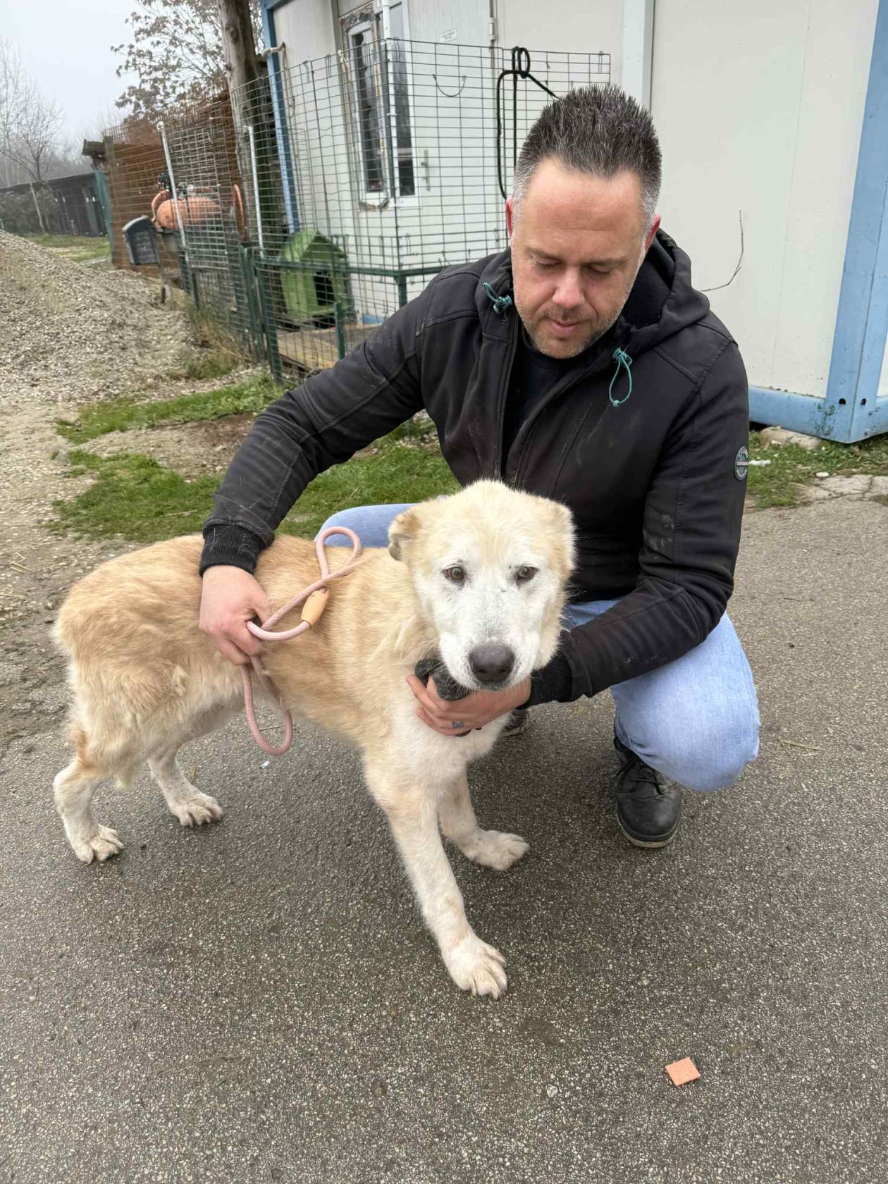 Azil Prijatelji Čakovec (4)