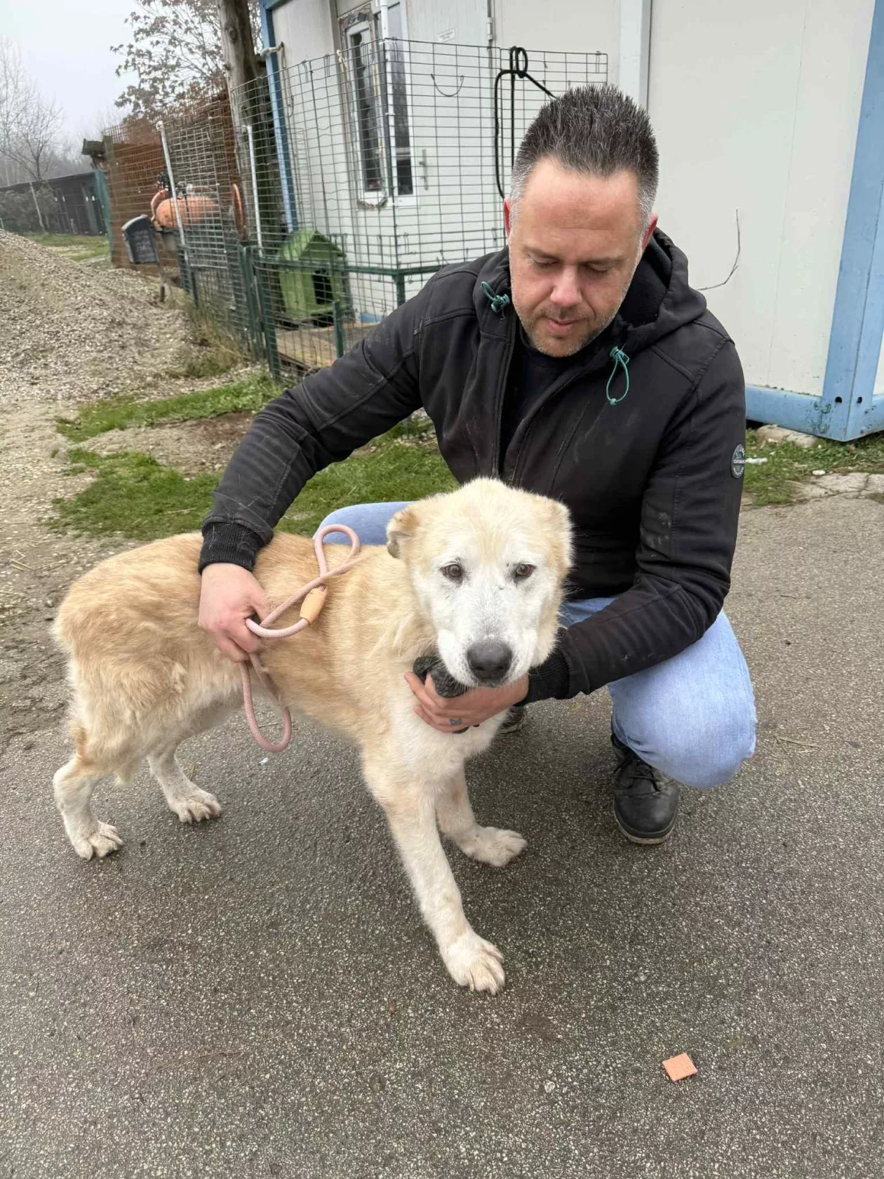 Azil Prijatelji Čakovec (4)