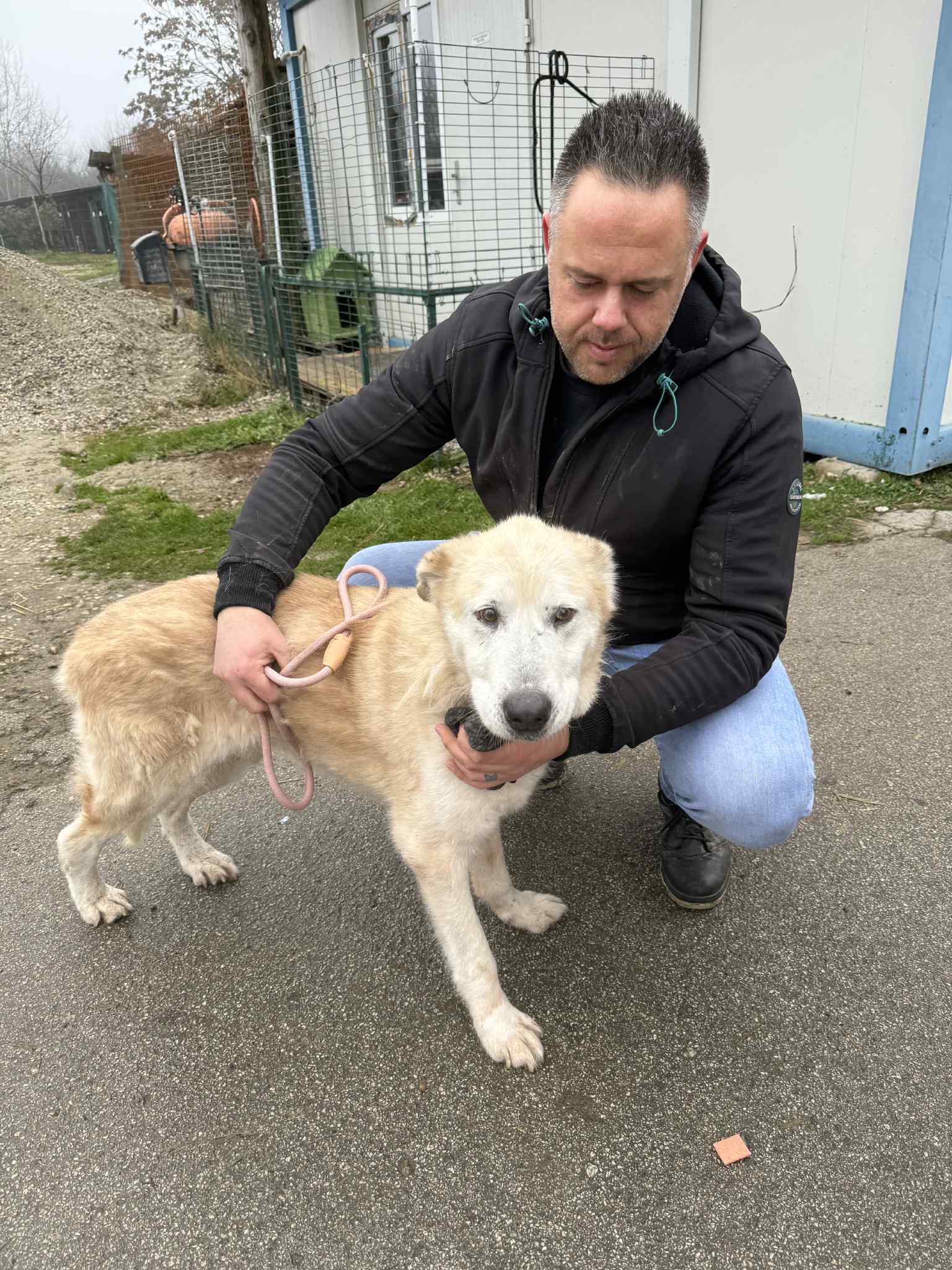 Azil Prijatelji Čakovec (4) Azil Prijatelji Čakovec (4)