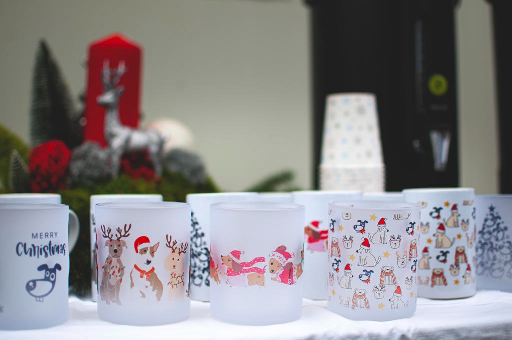 Azil Prijatelji Čakovec (8) Azil Prijatelji Čakovec (8)