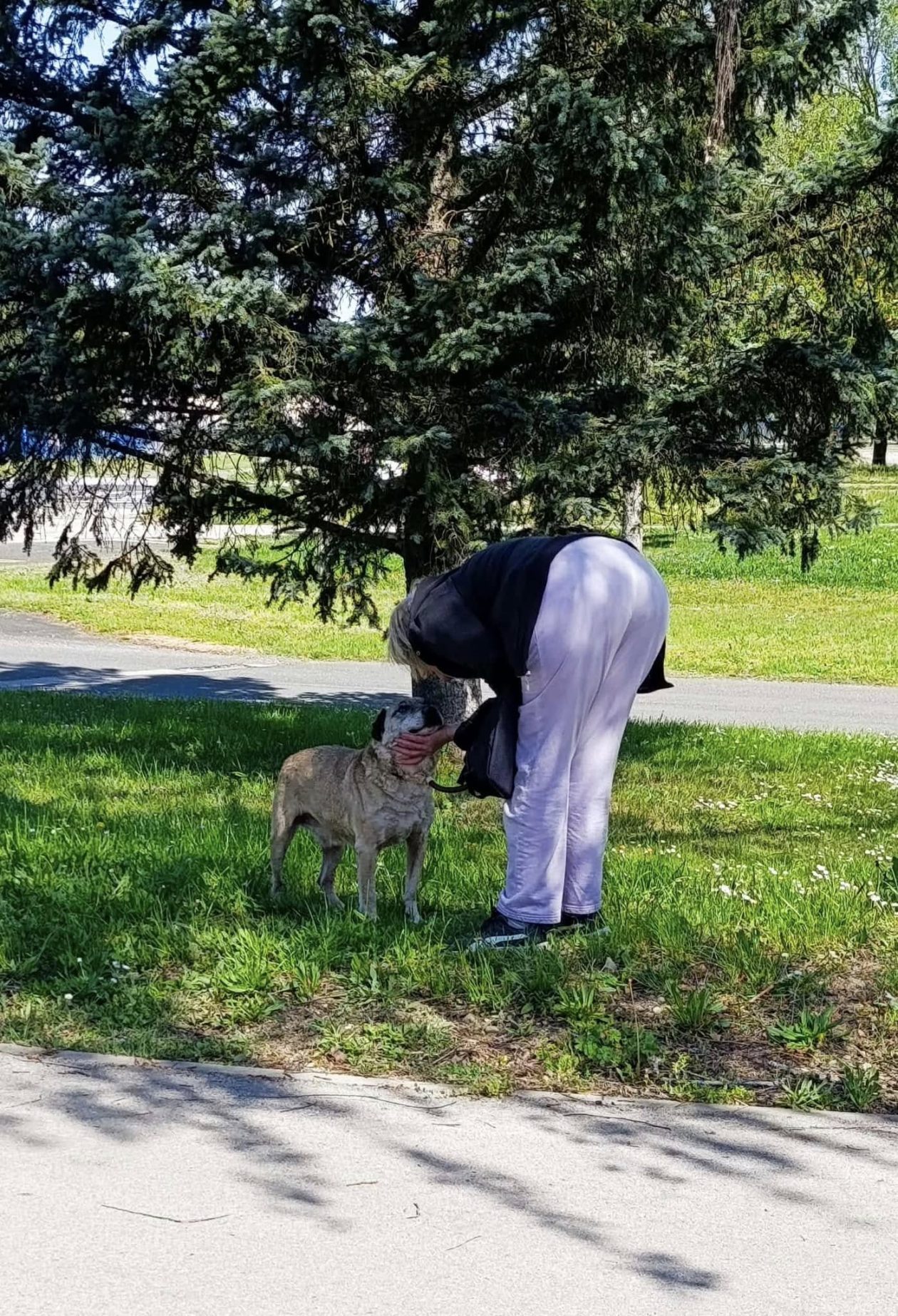 Azil Prijatelji Čakovec (9)