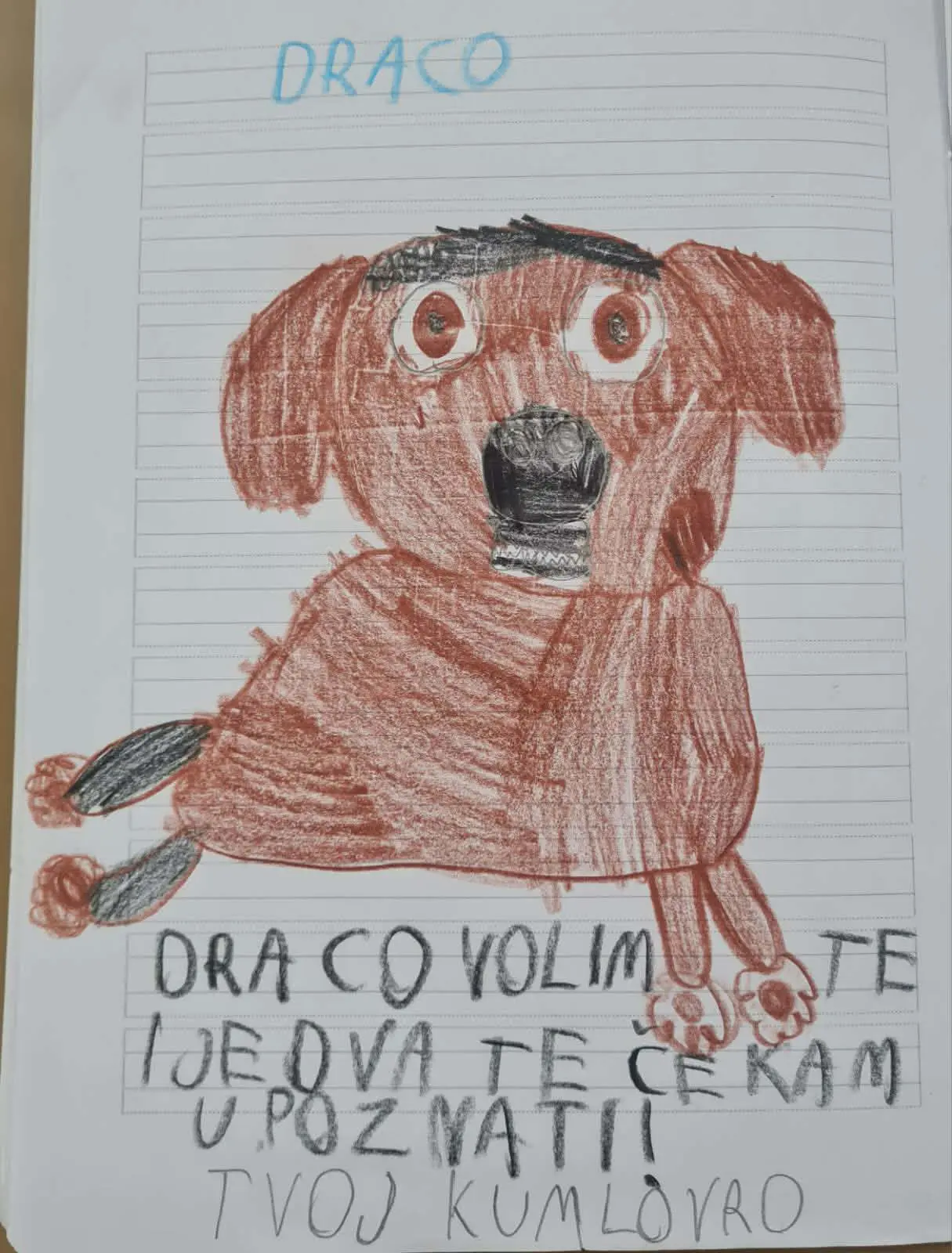 Azil Prijatelji Čakovec OŠ Gornji Hrašćan (10)