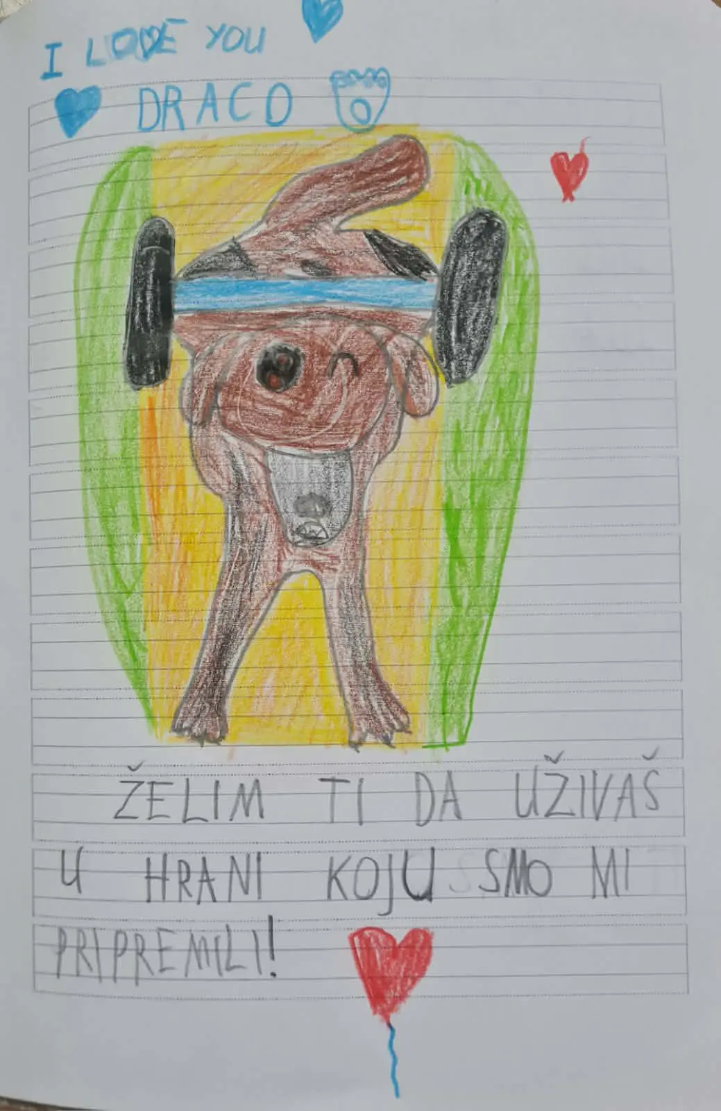 Azil Prijatelji Čakovec OŠ Gornji Hrašćan (13)