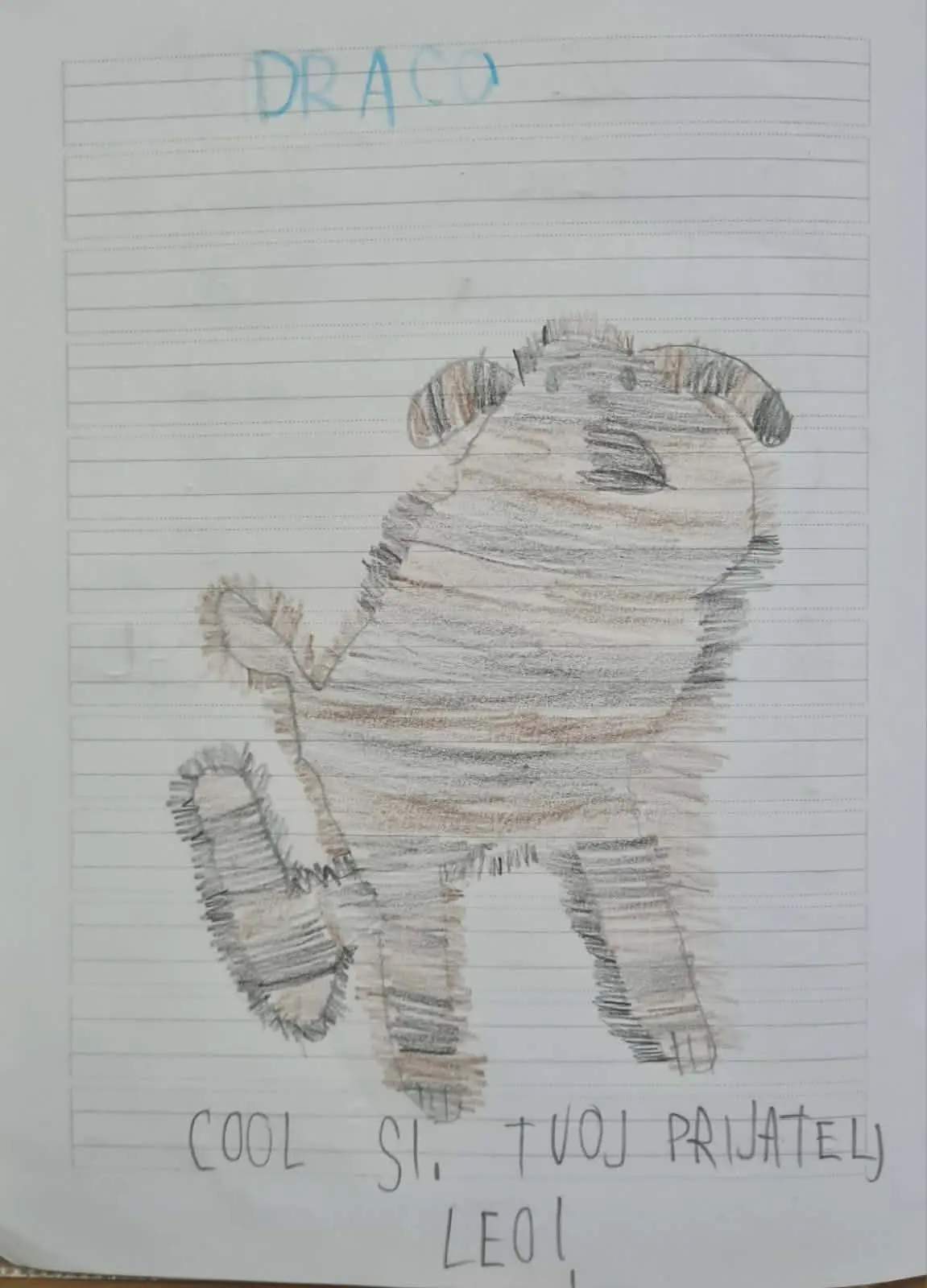 Azil Prijatelji Čakovec OŠ Gornji Hrašćan (4)