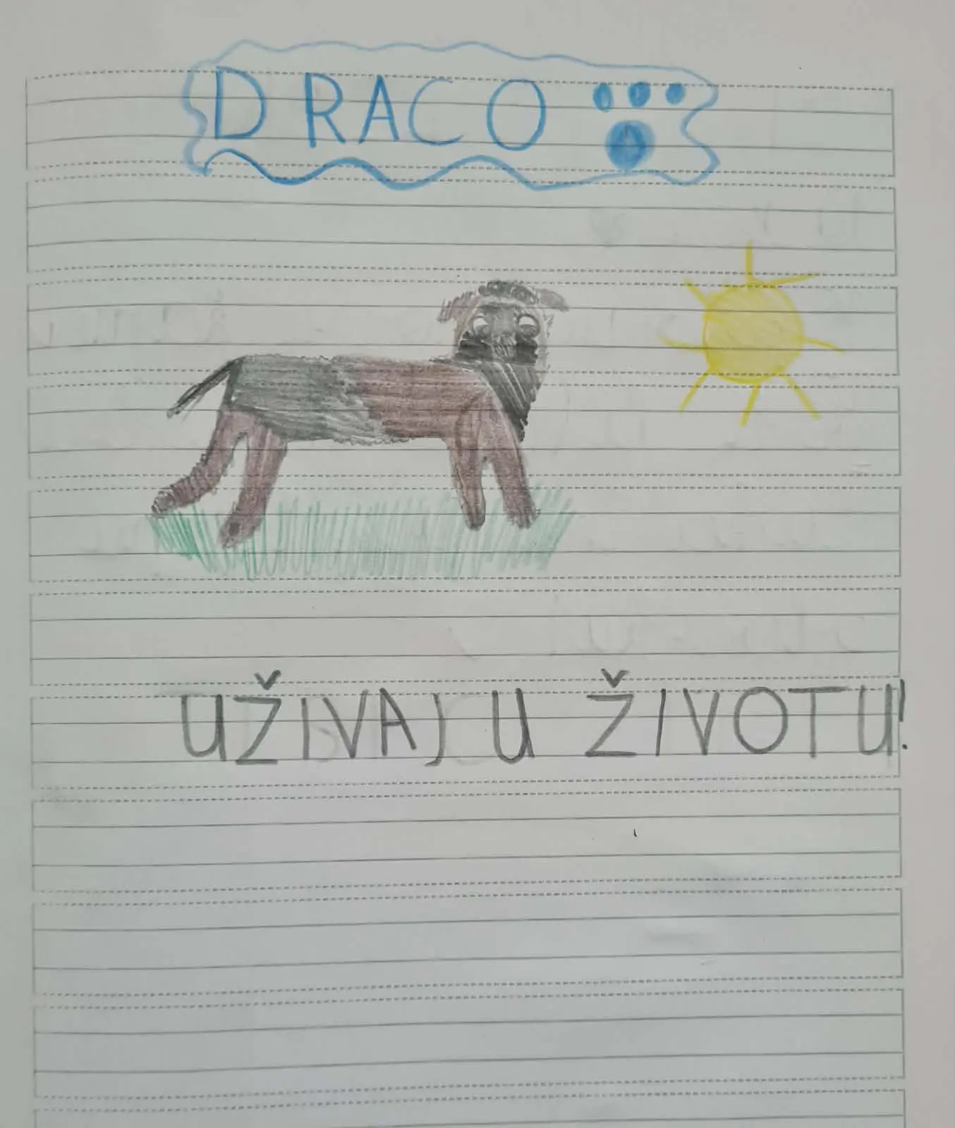 Azil Prijatelji Čakovec OŠ Gornji Hrašćan (7)