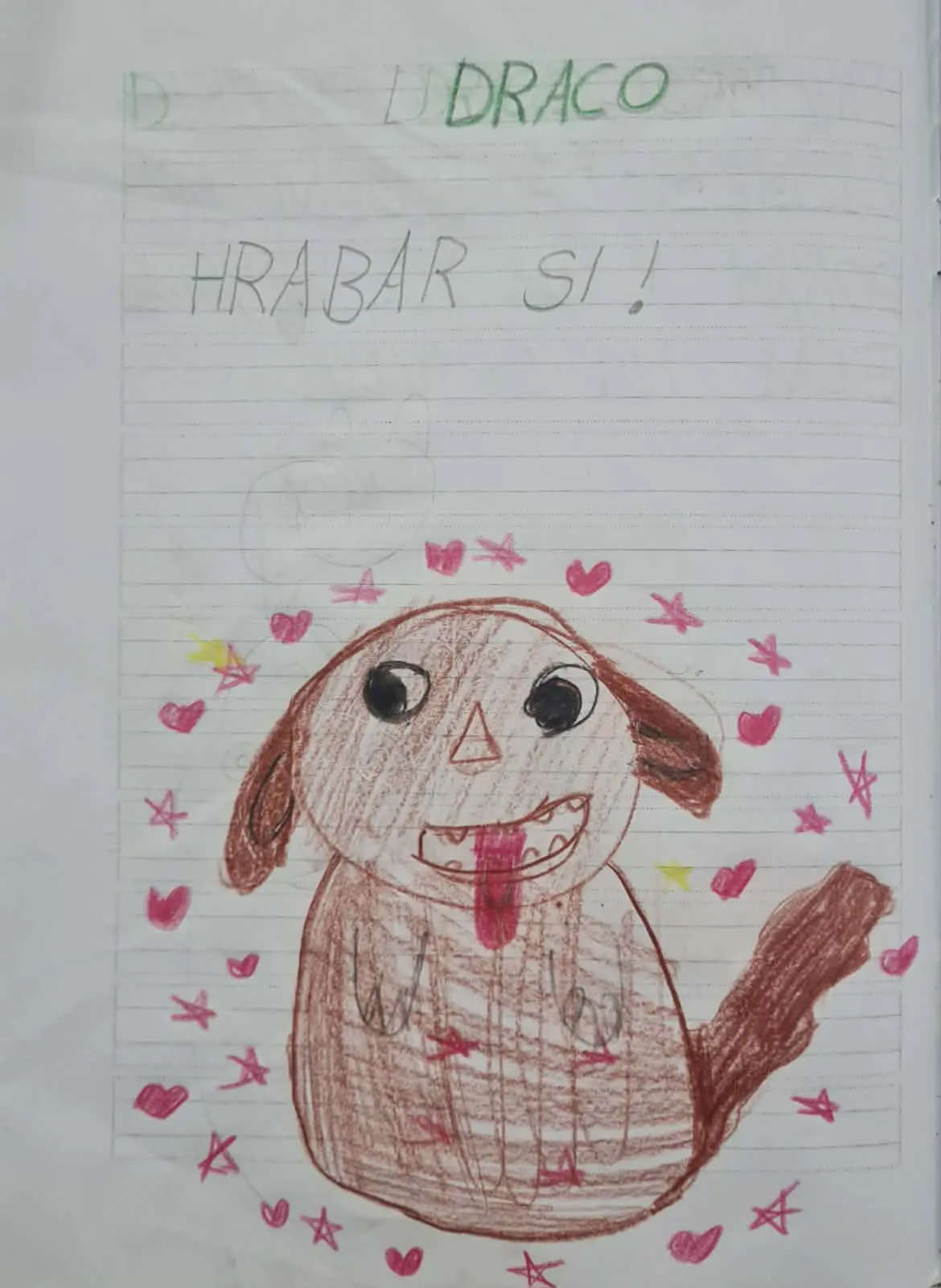 Azil Prijatelji Čakovec OŠ Gornji Hrašćan (8)