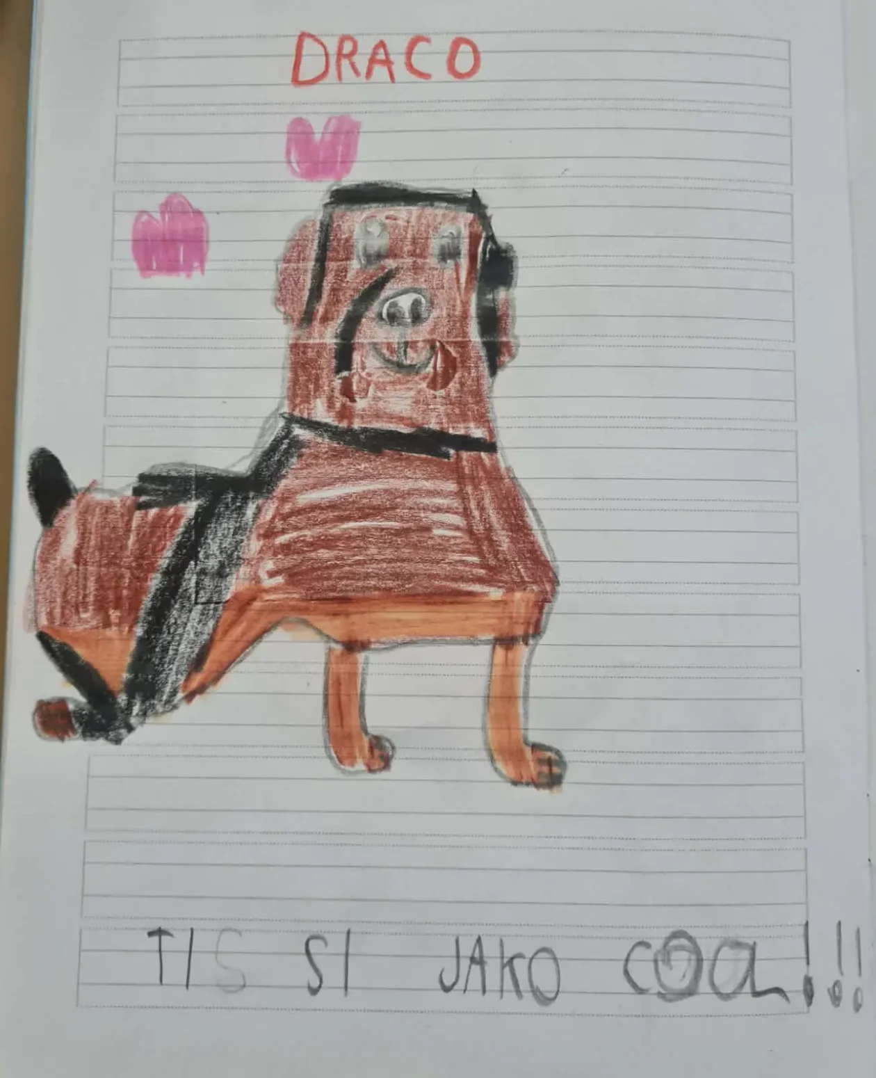 Azil Prijatelji Čakovec OŠ Gornji Hrašćan (9)