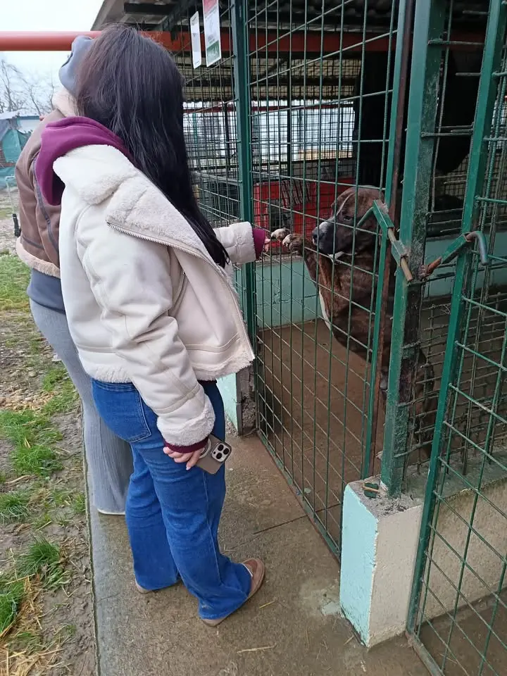 Azil prijatelji čakovec ETŠ (10)