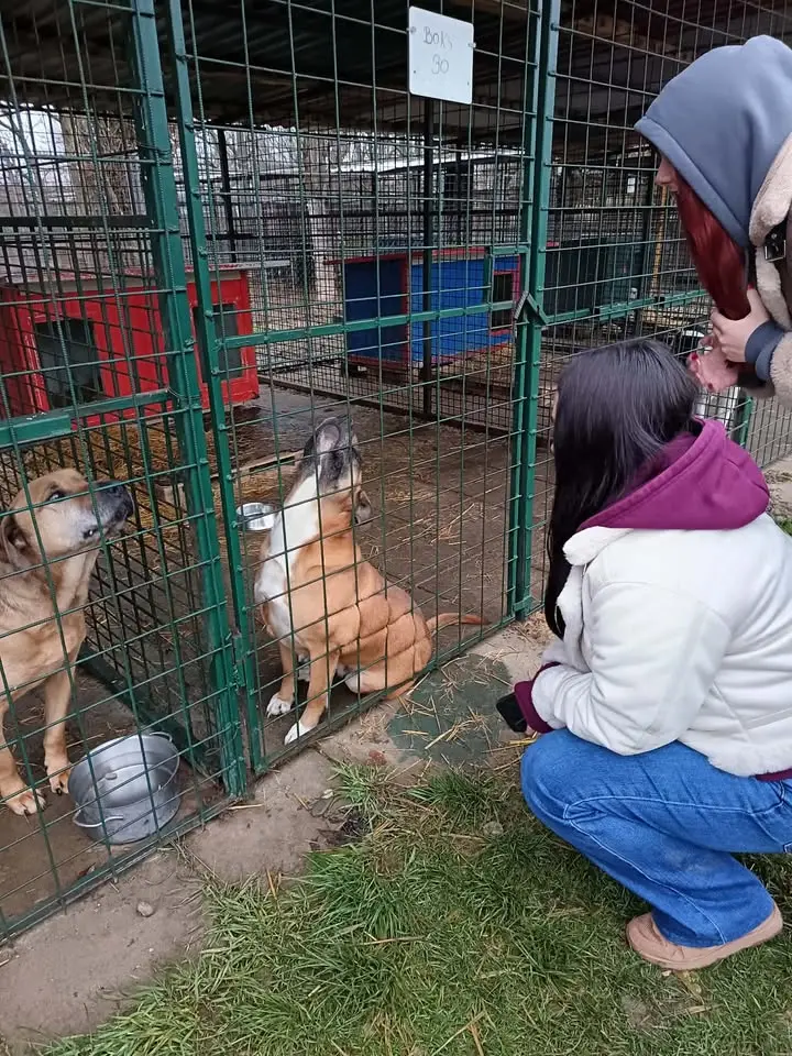 Azil prijatelji čakovec ETŠ (2)