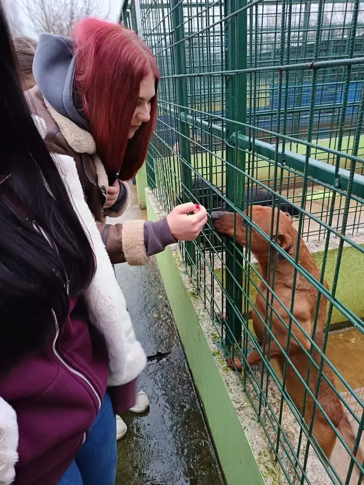 Azil prijatelji čakovec ETŠ (4)