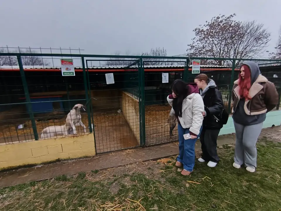 Azil prijatelji čakovec ETŠ (5)