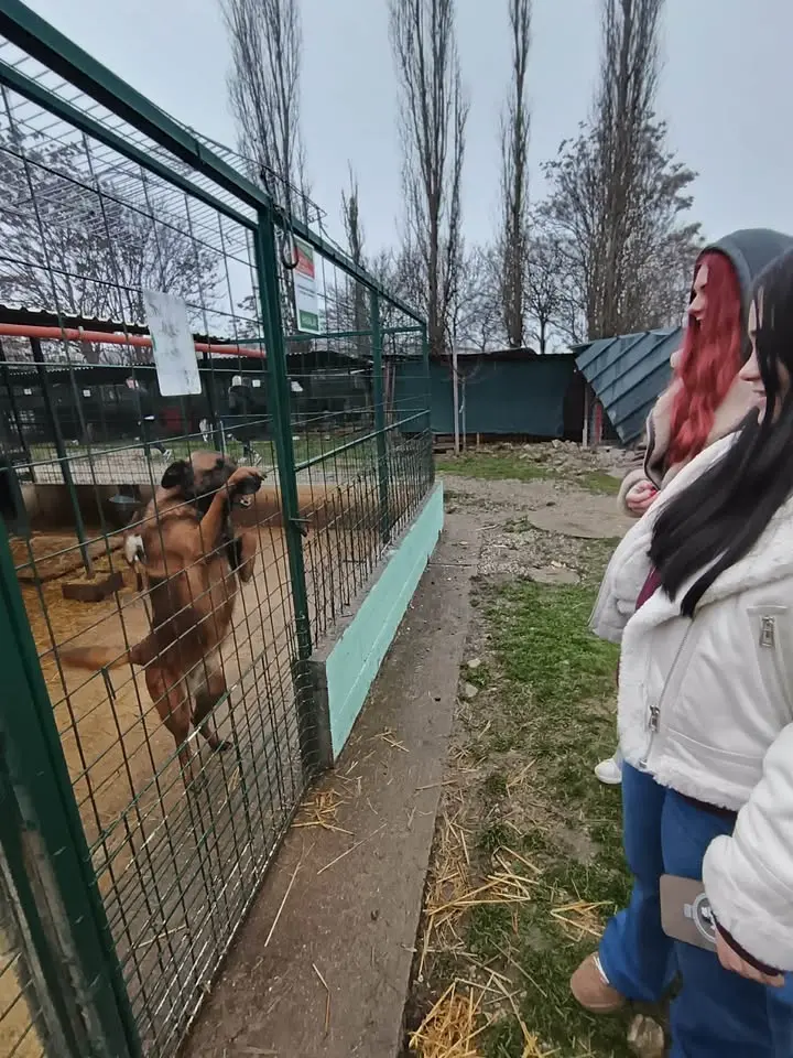 Azil prijatelji čakovec ETŠ (7)