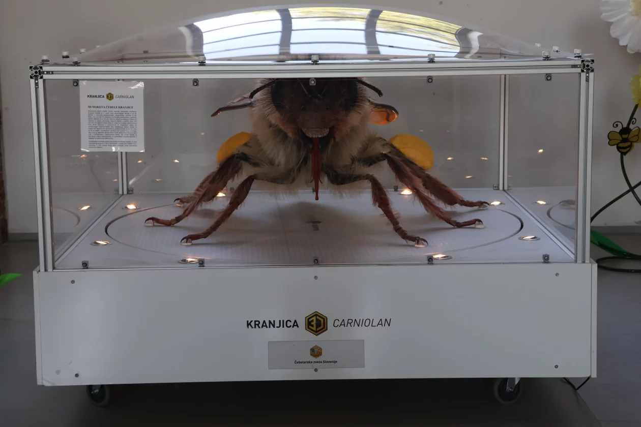 BEE(A)WARE dan pčela (1)