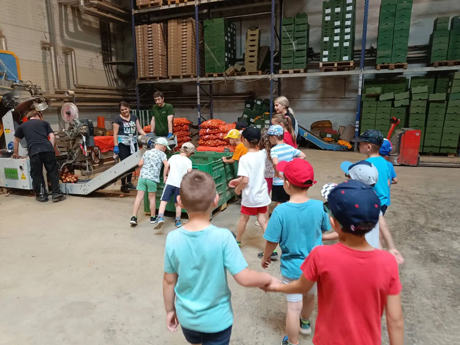 BELICA Mališani iz skupine ‘Ovčice’ posjetili pakirnicu krumpira (14)