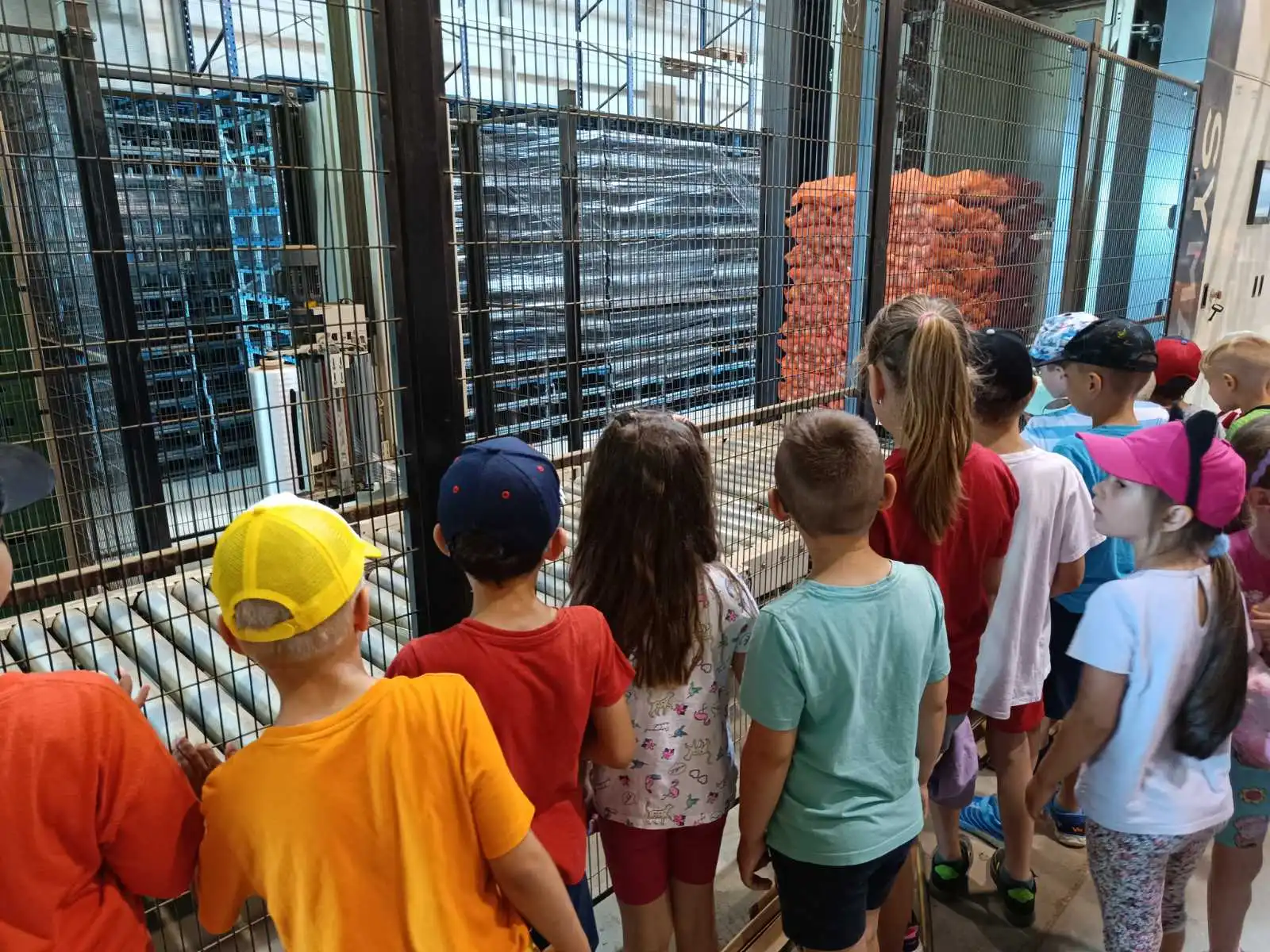 BELICA Mališani iz skupine ‘Ovčice’ posjetili pakirnicu krumpira (4)